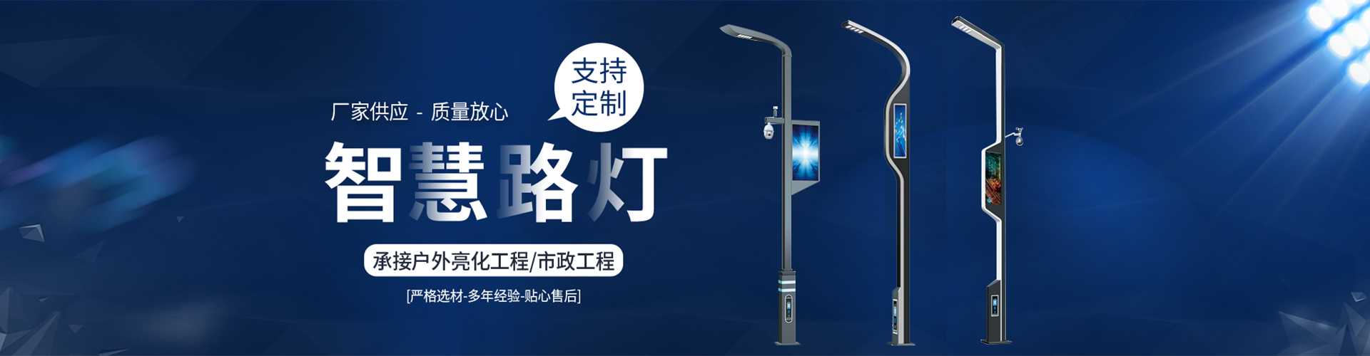 孝南区太阳能路灯定制厂家